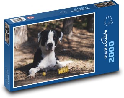 Roztomilý pes - maznáčik, vonku - Puzzle 2000 dielikov, rozmer 90x60 cm 