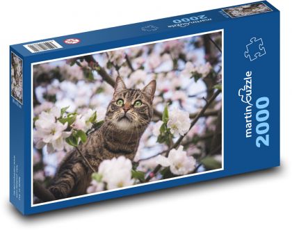 Mačka na strome - kvety, zviera - Puzzle 2000 dielikov, rozmer 90x60 cm 