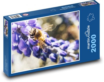 Biene - Insekt, Blume - Puzzle - 2000 Teile