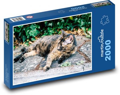 Strakatá mačka - maznáčik, odpočívať - Puzzle 2000 dielikov, rozmer 90x60 cm 