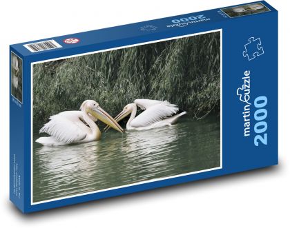 Pelikány - vodné vtáctvo, jazero - Puzzle 2000 dielikov, rozmer 90x60 cm 