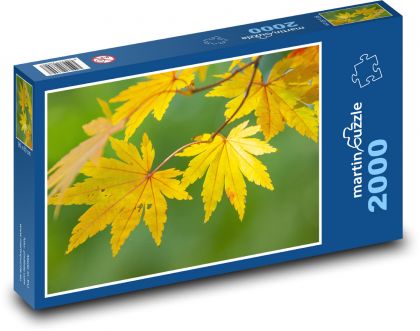 Javorové listy - podzimní olistění, strom - Puzzle 2000 dílků, rozměr 90x60 cm