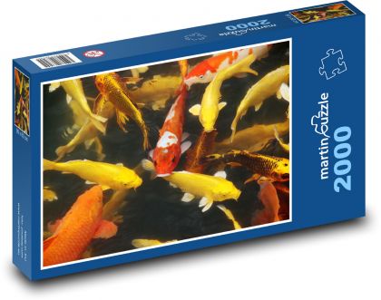 Koi ryby - rybník, voda - puzzle 2000 dílků