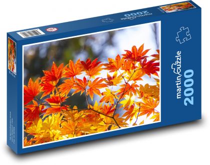 Javorové listy - podzim, strom - Puzzle 2000 dílků, rozměr 90x60 cm
