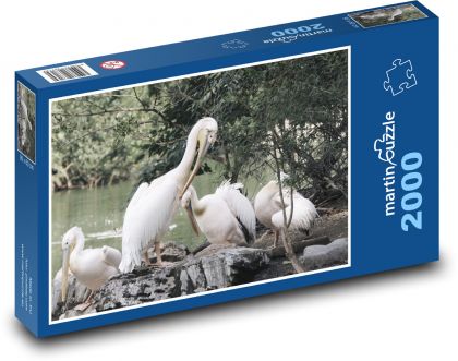 Pelikáni - ptactvo, rybník - puzzle 2000 dílků