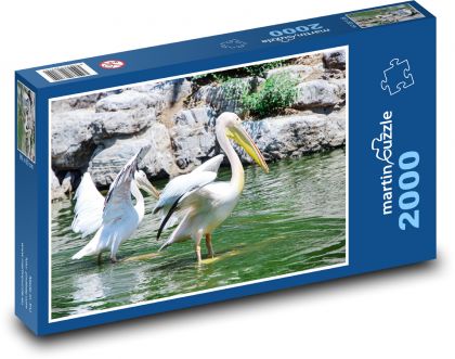 Bílí pelikáni - ptáci, zvířata - Puzzle 2000 dílků, rozměr 90x60 cm