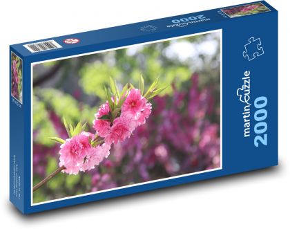 Broskyňové kvety - strom, záhrada - Puzzle 2000 dielikov, rozmer 90x60 cm 