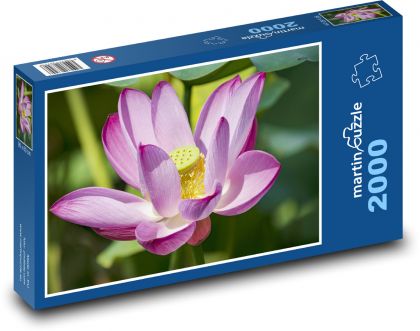 Lotos - kwiat, płatki - Puzzle 2000 elementów, rozmiar 90x60 cm