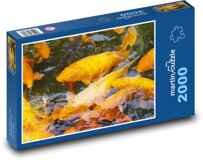 Kapor koi - ryba, rybník - Puzzle 2000 dielikov, rozmer 90x60 cm 