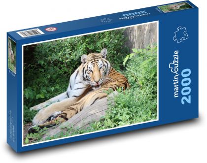 Tygr - zvíře, divoká zvěř - puzzle 2000 dílků