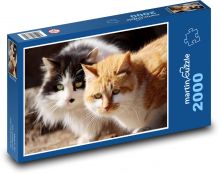 Katzen - Haustiere, Tiere Puzzle 2000 Teile - 90 x 60 cm