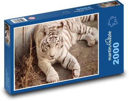 Bílý tyger - velká kočka, savec - puzzle 2000 dílků