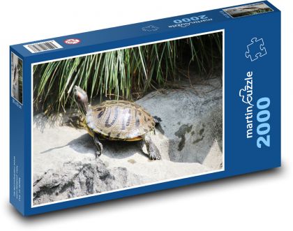 Korytnačka - vodný živočích, plaz - Puzzle 2000 dielikov, rozmer 90x60 cm 