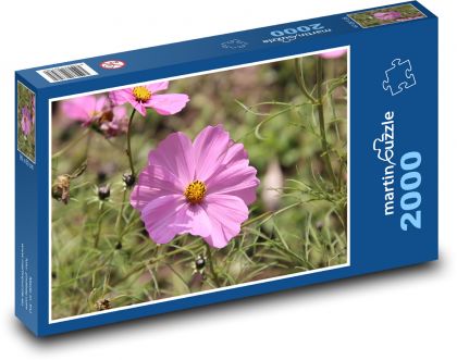 Różowa piękność - kwiat, kwiat - Puzzle 2000 elementów, rozmiar 90x60 cm