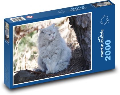 Cat - pet, animal - Puzzle 2000 pieces, size 90x60 cm 