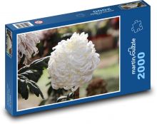 Bílá chryzantéma - květina, květ Puzzle 2000 - 90x60 cm