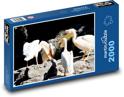 Pelikáni - ptactvo, zvířata - Puzzle 2000 dílků, rozměr 90x60 cm