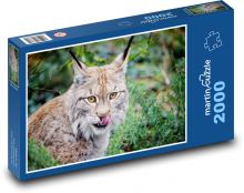 Luchs - Tier, Katze Puzzle 2000 Teile - 90 x 60 cm