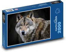 Wolf - wildes Tier, Säugetier Puzzle 2000 Teile - 90 x 60 cm