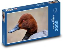Ente - Vogel, Schnabel Puzzle 2000 Teile - 90 x 60 cm