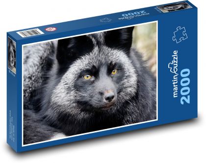 Strieborná líška - cicavec, zviera - Puzzle 2000 dielikov, rozmer 90x60 cm 