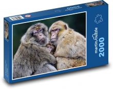 Barbarská opica - makak, rodina Puzzle 2000 dielikov - 90 x 60 cm