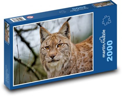 Luchs - Tier, Wildkatze - Puzzle - 2000 Teile