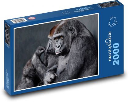 Gorila - primát, opice - Puzzle 2000 dílků, rozměr 90x60 cm