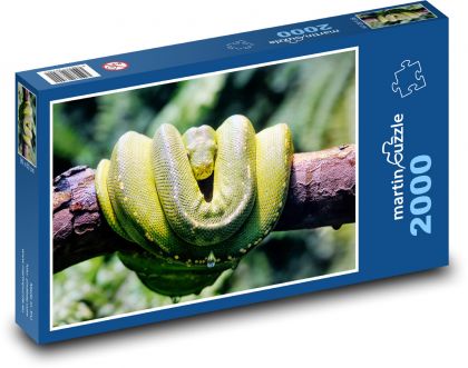 Krajta - had, plaz - puzzle 2000 dílků
