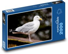 Čajka striebristá - vták, perie Puzzle 2000 dielikov - 90 x 60 cm