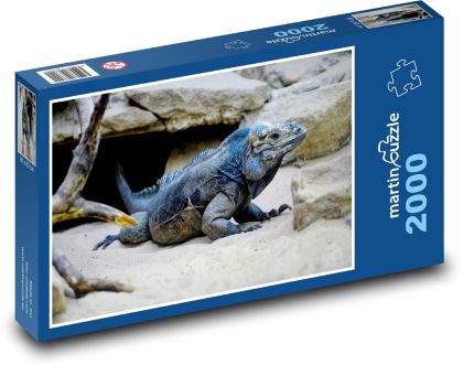 Iguana - reptile, rock - Puzzle 2000 pieces, size 90x60 cm 