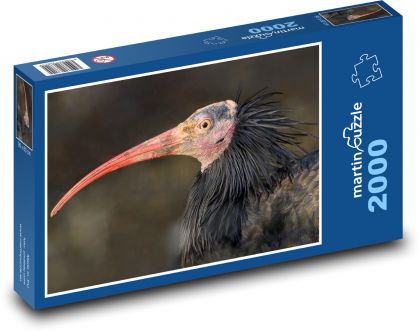 Ibis - pták, zvíře - Puzzle 2000 dílků, rozměr 90x60 cm