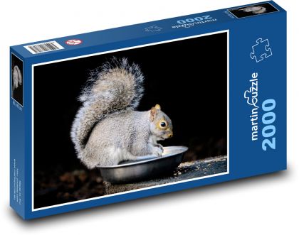 Šedá veverka - hlodavec, savec - Puzzle 2000 dílků, rozměr 90x60 cm