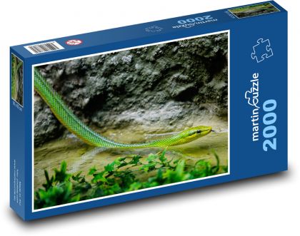 Zelený had - plaz, voda - Puzzle 2000 dielikov, rozmer 90x60 cm 