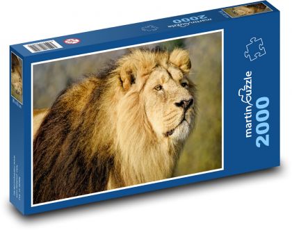 Asijský lev - lovec, savec - puzzle 2000 dílků