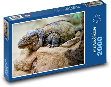Leguan - Reptil, Eidechse - Puzzle - 2000 Teile