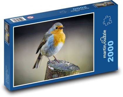 Červenka - vták, perie - Puzzle 2000 dielikov, rozmer 90x60 cm 
