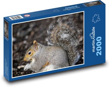 Šedá veverka - hlodavec, savec - Puzzle 2000 dílků, rozměr 90x60 cm