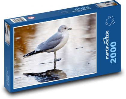 Möwe - Vogel, Meer - Puzzle - 2000 Teile