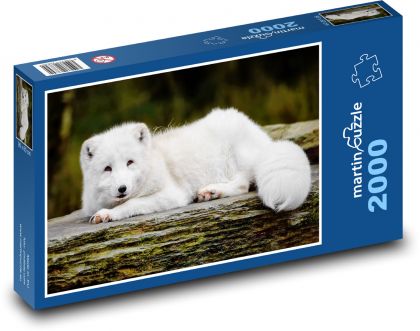 Liška polární - sněžná liška, zvíře - Puzzle 2000 dílků, rozměr 90x60 cm