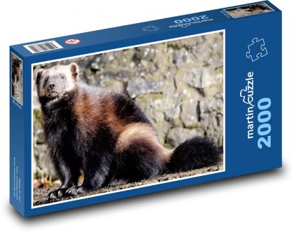 Wolverine - carnivore, animal - Puzzle 2000 pieces, size 90x60 cm 