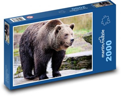 Grizzly - medvěd, zvíře - Puzzle 2000 dílků, rozměr 90x60 cm