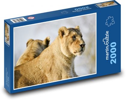 Lioness - big cat, animal - Puzzle 2000 pieces, size 90x60 cm 