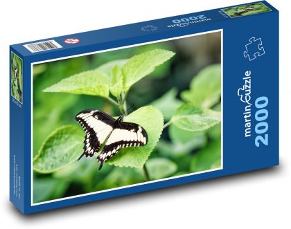 Otakárek - motýl, list - Puzzle 2000 dílků, rozměr 90x60 cm