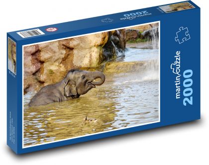 Elephant in the water - baby, elephant - Puzzle 2000 pieces, size 90x60 cm 