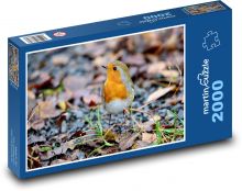 Červenka - pták, peří Puzzle 2000 dílků - 90 x 60 cm