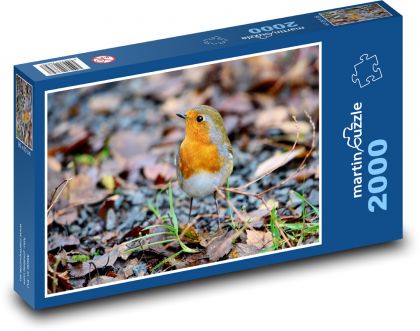 Červenka - pták, peří - Puzzle 2000 dílků, rozměr 90x60 cm
