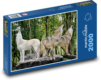 Wölfe - heulende Wölfe, Raubtiere - Puzzle - 2000 Teile