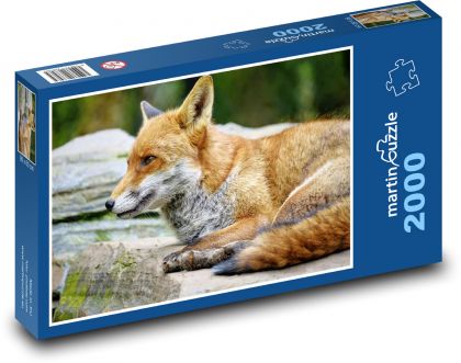 Líška - lovec, cicavec - Puzzle 2000 dielikov, rozmer 90x60 cm 