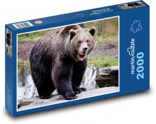 Brown bear - hunter, animal Puzzle 2000 pieces - 90 x 60 cm